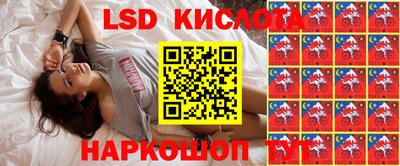 spice Рыбинск