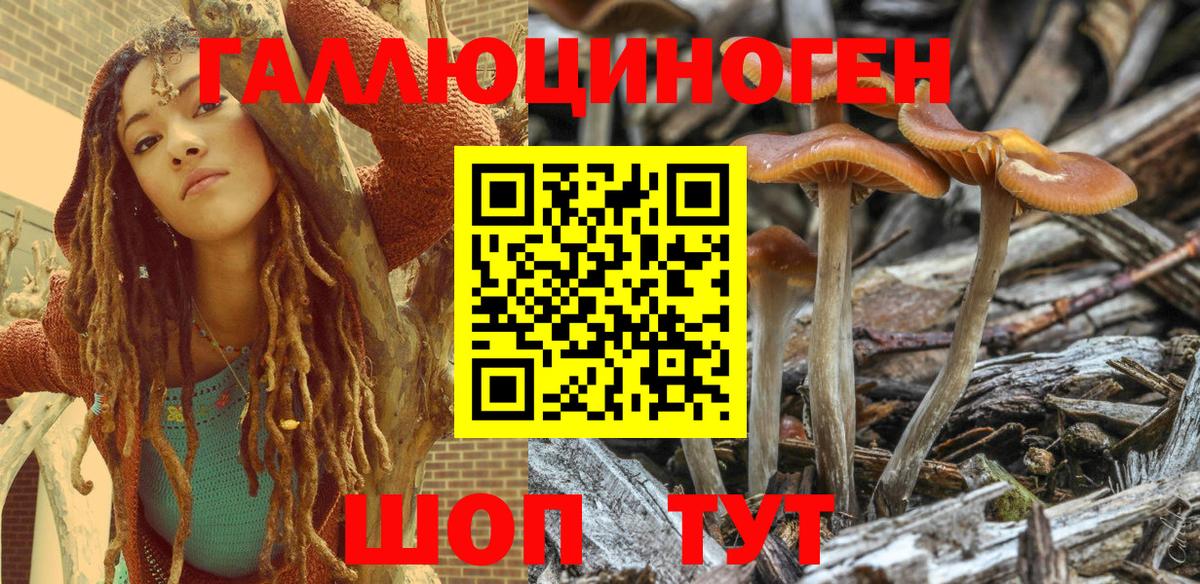 Сальск  Псилоцибиновые грибы MAGIC MUSHROOMS  Вход с VPN 